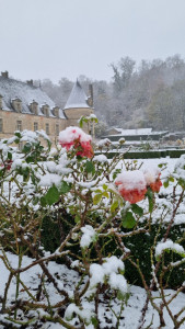 Visite Famille : Noël au château photo