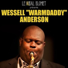Wessell Anderson - Le Blues dans Toutes ses Couleurs photo