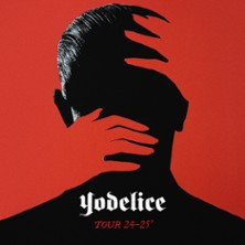 Yodelice - Tournée photo