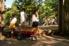 Zoo de Bordeaux Pessac photo
