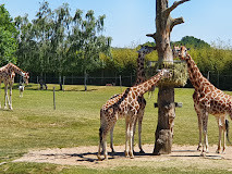 Zoo de La Boissière du Doré photo