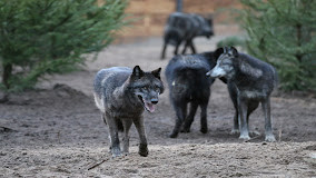Zoo de Labenne photo