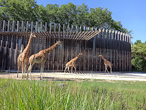 zoo de Lyon photo