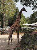 Zoo de Maubeuge photo