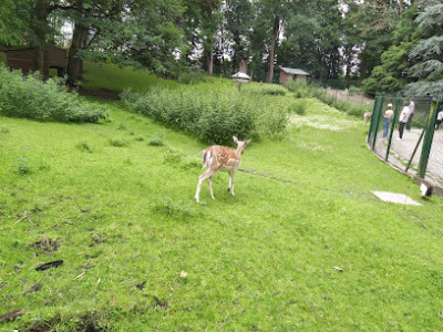 Zoo du jardin public photo