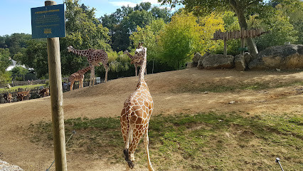 Zoo parc de Beauval entrée Nord photo