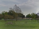 Example Image