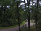 Example Image