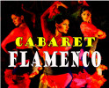 Cabaret Flamenco Lyon image