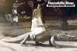 Example Image