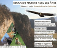 Example Image