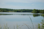 Example Image