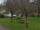 Example Image