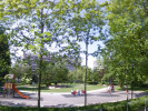 Example Image