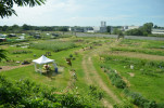 Example Image