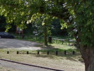 Example Image