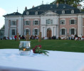 Example Image