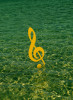 Example Image