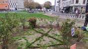 Example Image