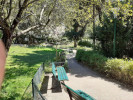 Example Image